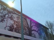 The aluminum “Shimmer Wall” displayed on the side of the Raleigh Convention Center depicting a large oak tree.