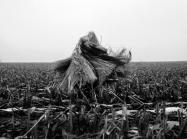 Fern Shaffer, Cornfield Outside Mineral Point, Wisconsin, 1997. Costume made from canvas and raffia.