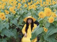 Kusama in Flower Obsession. Photo by Yusuke Miyazaki. 