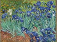 Vincent van Gogh, Irises, May 1889.