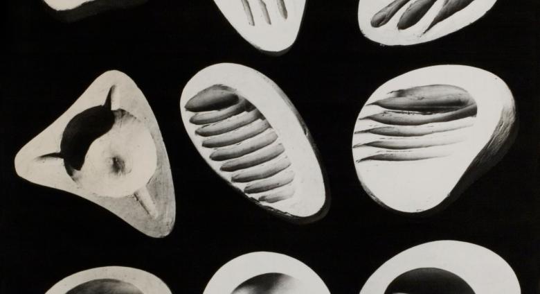 grid of 9 white organic, shell-shaped Isamu Noguchi ashtrays