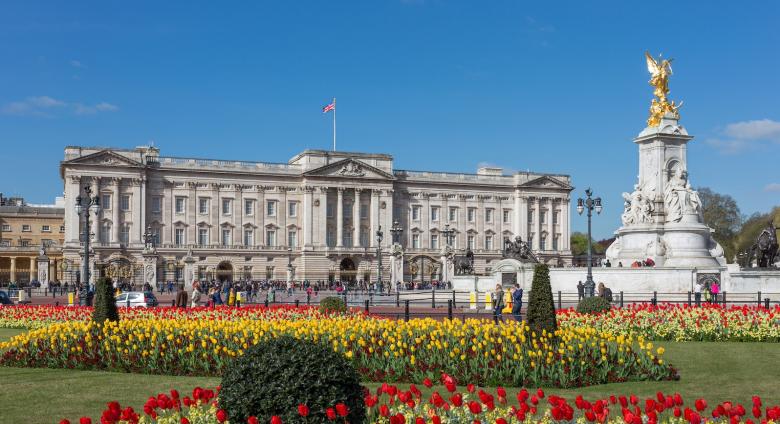 Photograph of Buckingham Palace from gardens, London, UK, 2014.