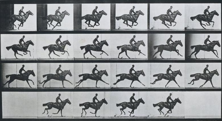 Eadweard Muybridge, detail of ‘Bouquet’, Galloping, 1887. Collotype on paper. Rijksmuseum, Amsterdam, Netherlands.