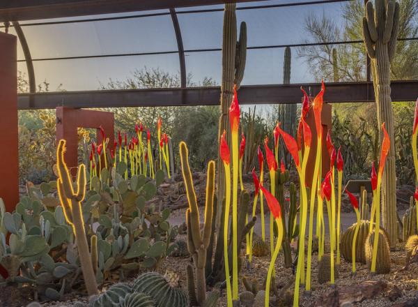 Dale Chihuly, Paintbrushes, 2021, Desert Botanical Garden, Phoenix © 2021 Chihuly Studio. All rights reserved. Photo by Nathaniel Willson.