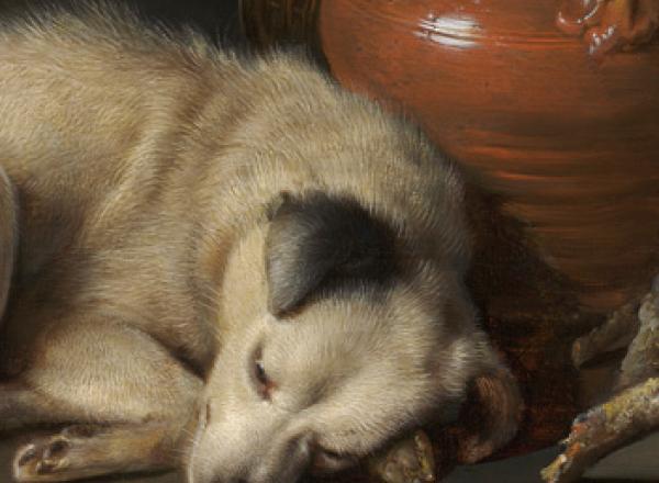 Gerrit Dou, Sleeping Dog, 1650.